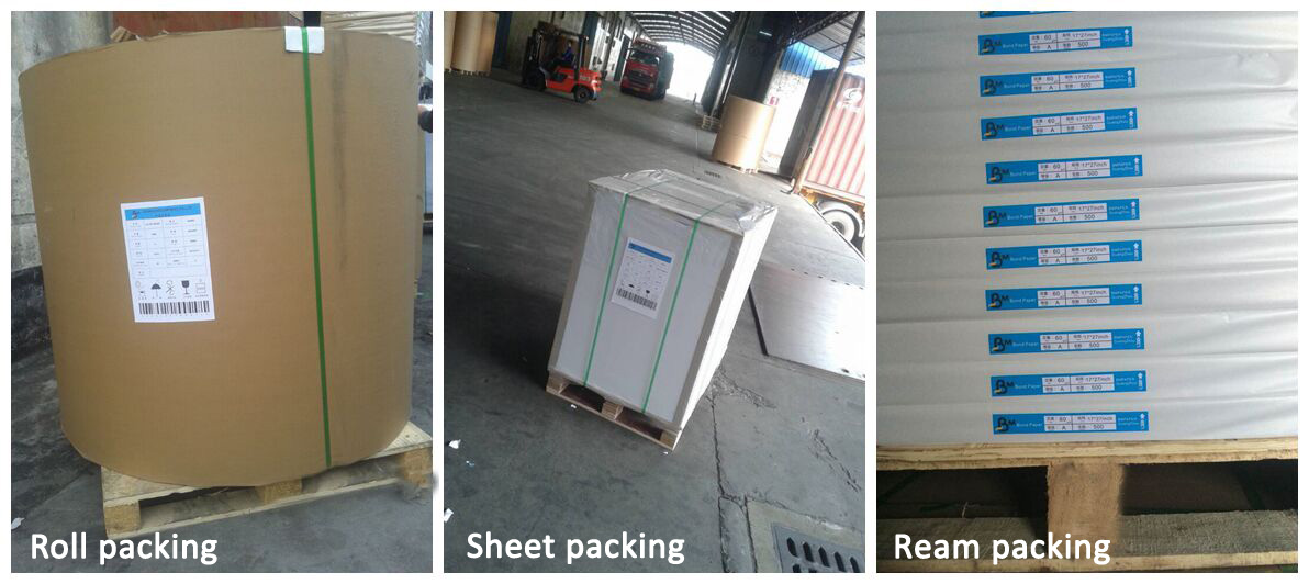 High Glossy 150g 180g White coated art Paper for book printing