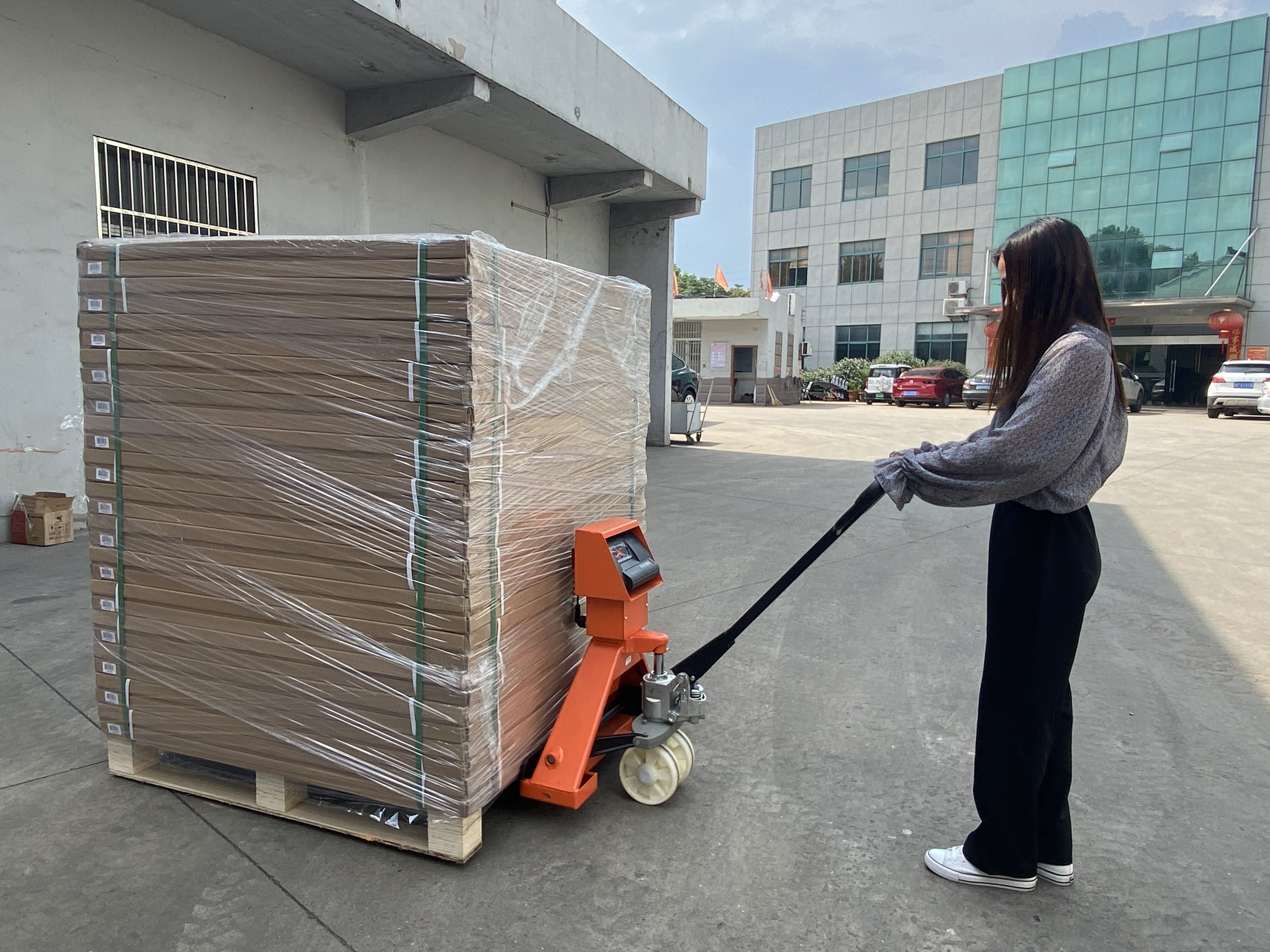Manual 3000Kg Pallet Jack Scale Truck With Weight Indicator