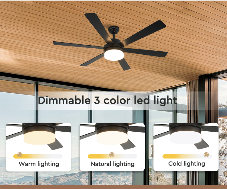 ceiling fan