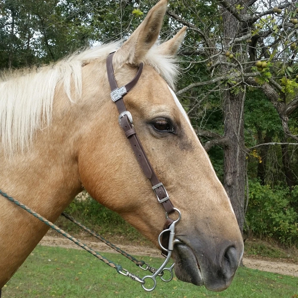 Stainless Steel Horse Chewing Mouth Roller with Brass Hardware and Copper Jointed Bits
