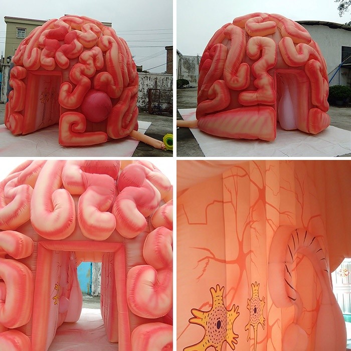 Giant 4m Inflatable Brain Replica Artificial Organs For Educational SGS EN71