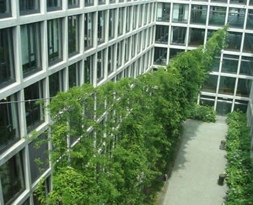 Some green plants are on the stainless steel rope mesh, and some green plants are on the floor.