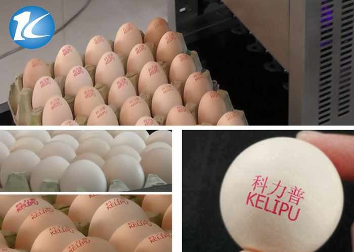 Automatic Egg Printing Machine For Date , Time , Serial Number