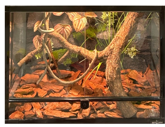 Easily Installed Snake Terrarium Background Lightweight Stumps SL-M28A
