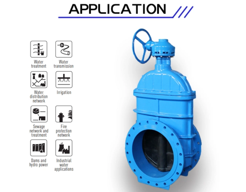 ODM Support F4 GGG50 PN10/PN16 Cast Iron Gate Valve with Bronze Seal and Metal Seat