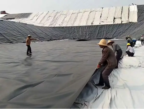 Black HDPE Geomembrane for Landfill Underground Waterproofing in 0.12-4.0mm Thickness