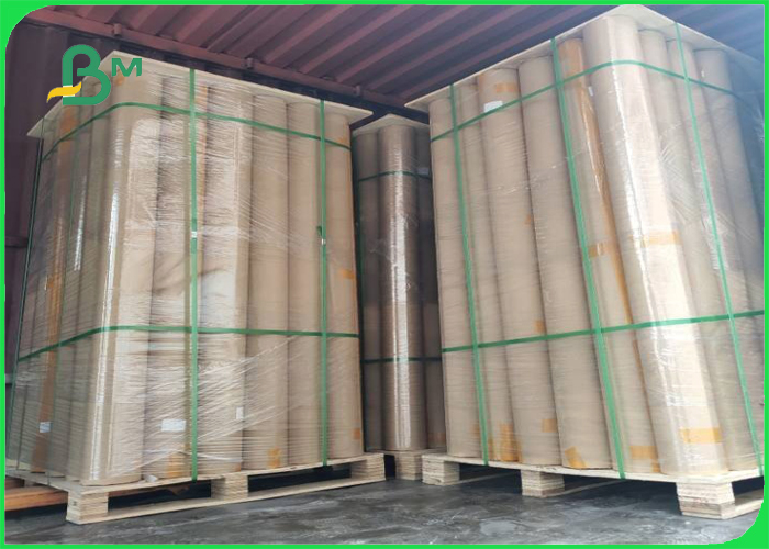 plotter bond paper