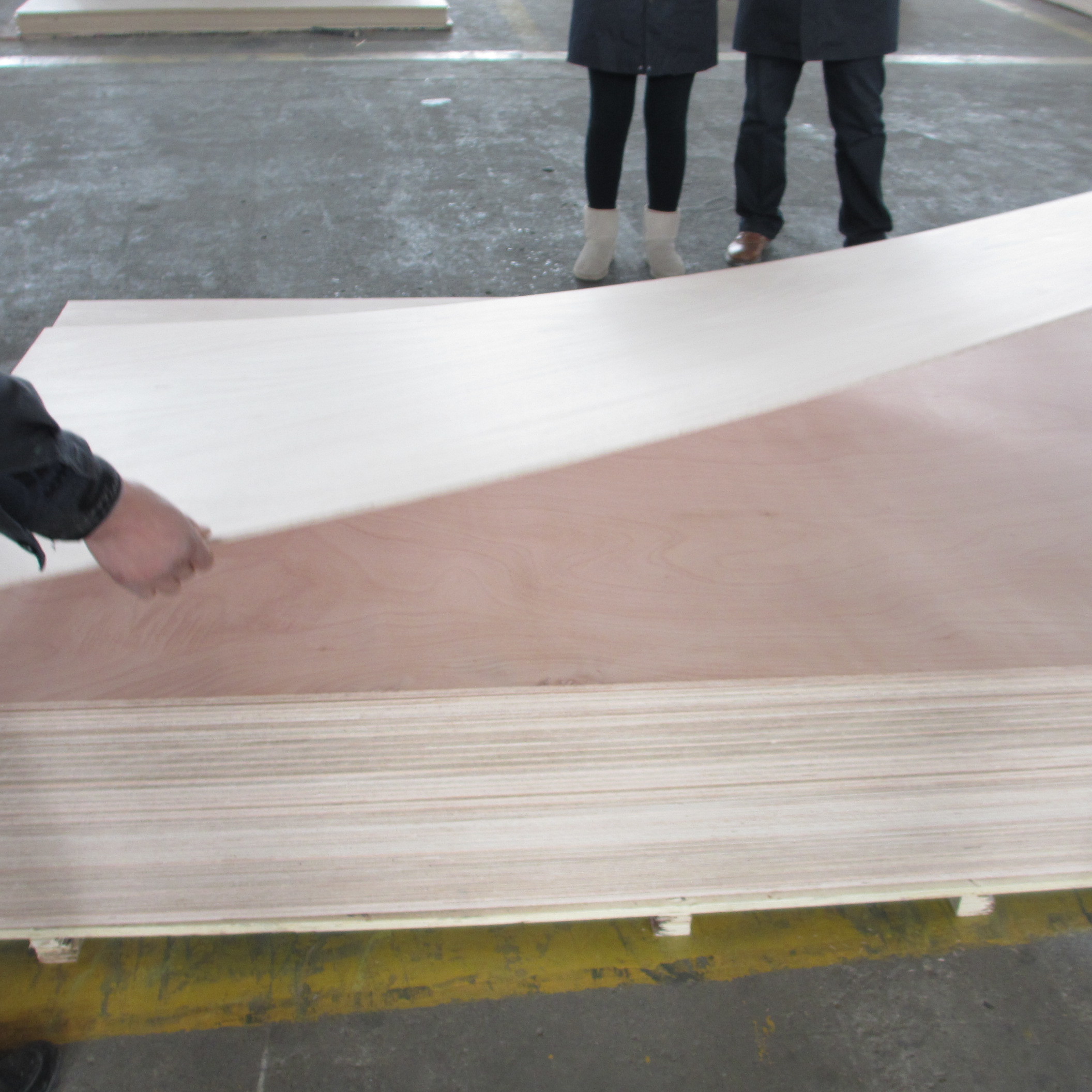 BS1088 Llyods Marine Okoume Plywood