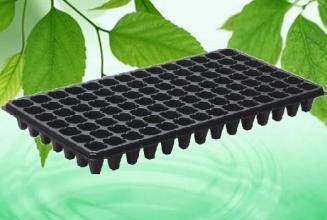 Low Price 200 cells seed tray for propagation nursery seedling pot plastic trays for plants with great price
