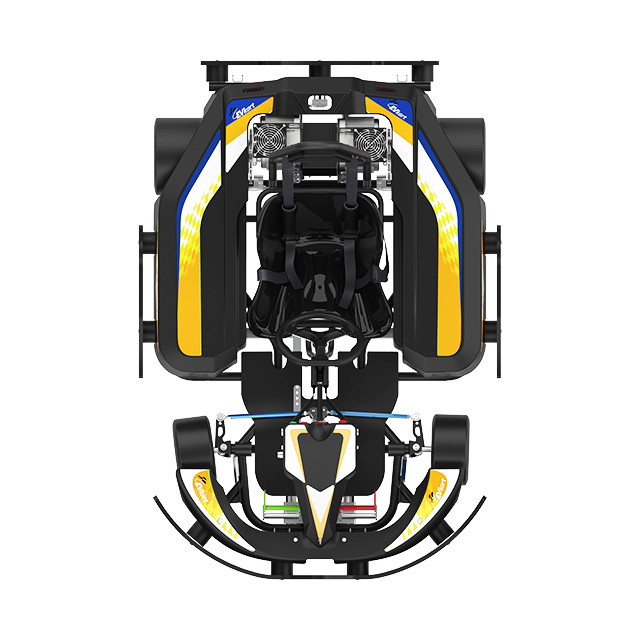 Remote Control 14Nm Motorized Go Karts For Adults Racing 175Kg
