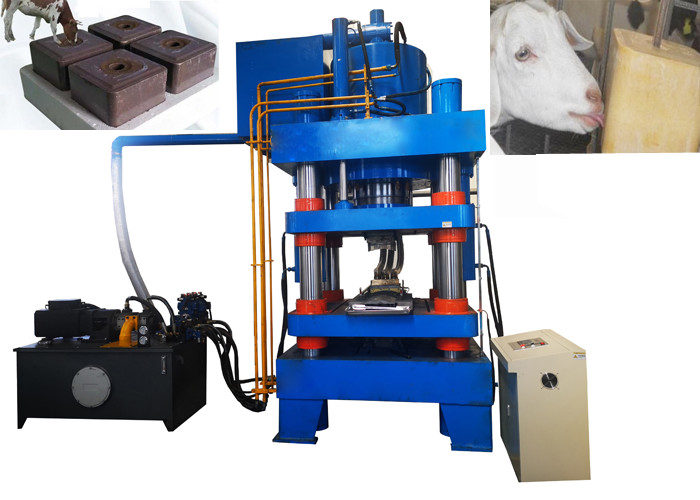 1000 Ton Salt Block Press Machine , High Speed Tablet Press Machine Round Square Shaped Salt Block Making Machine