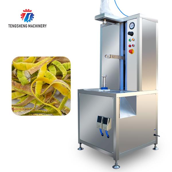 1.0KW 120KG All stainless steel fruit peeler Fruit peeler cantaloupe watermelon