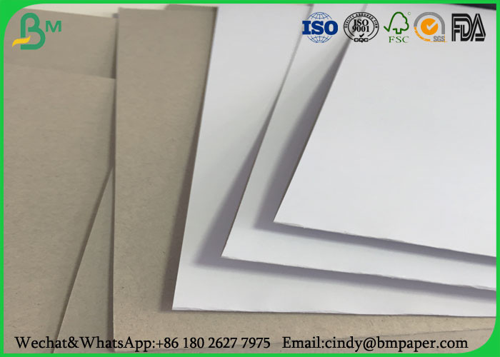 Grade AAA Coated Duplex Board Grey Back 250gr 400g Width 787mm In Roll Packing