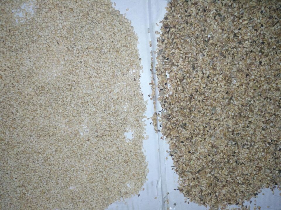 China Good Quality Factory Supplier Black Rice Color Sorting Machine For Farmland