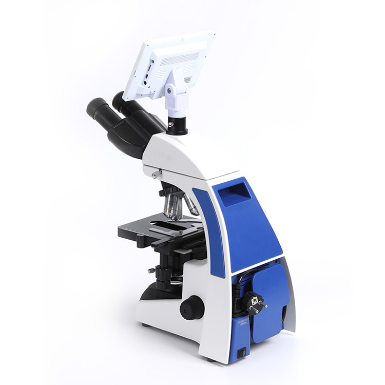 Three-Eye Hinged Observation Tube Microscope for Bacterial Observation in Science Labs
