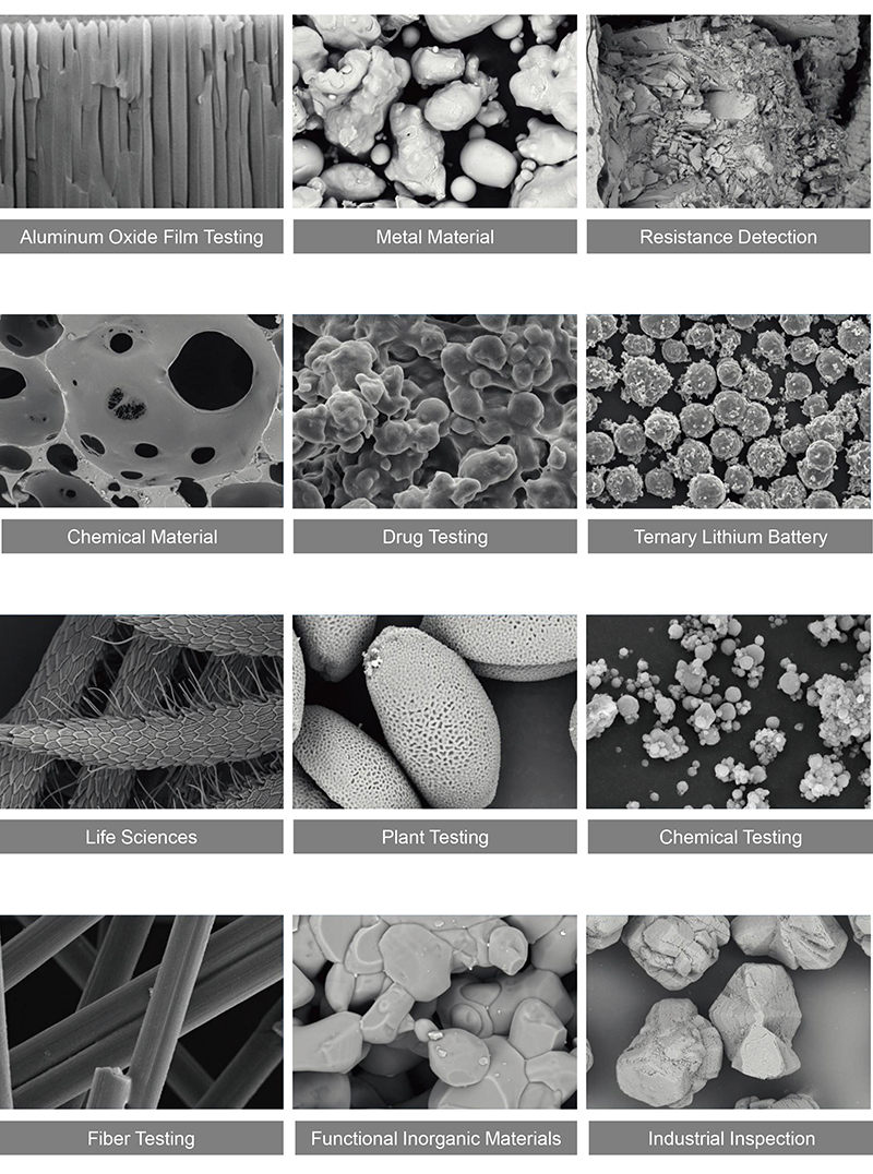 OPTO-EDU A63.7002 Tungsten Filament Scanning Electron Microscope SE BSE 200000x 6nm@18KV(SE)