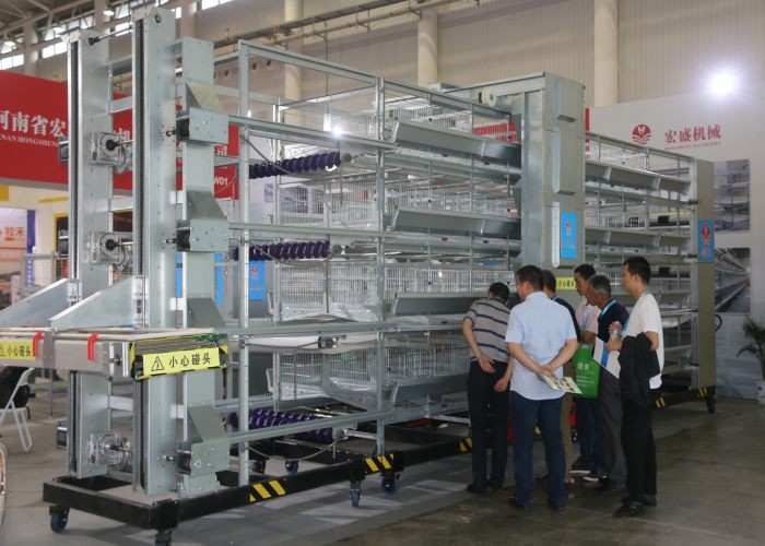 High Efficiency Egg Collection Systems Easy To Use And Manage For Chickn Farm Used
