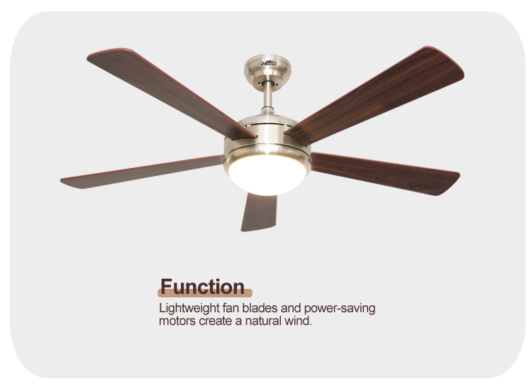 110-240V Ceiling Fan with Light and Remote Home Decoration Copper Motor 5 MDF Blades