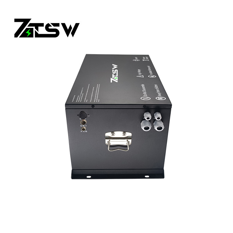Lithium Ion 48V 100AH LiFePO4 Golf Cart Battery Ultra High Battery Life