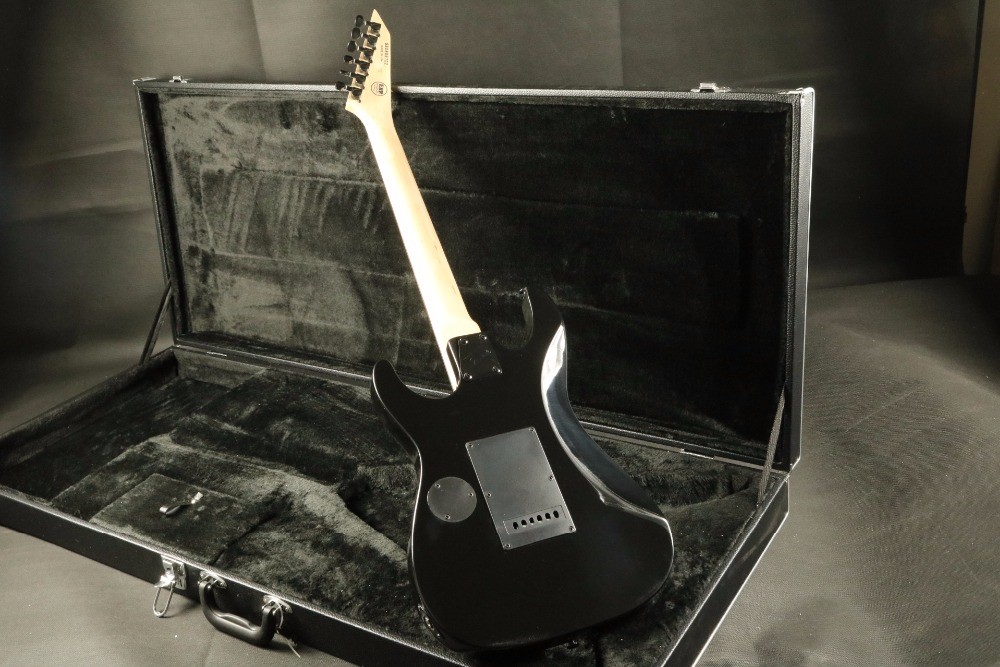 Hot popular skull inlay skull snake body top quality floydrose tremolo Electric guitar Guitarra black hardware electric