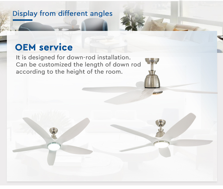 60" 5-Blade ABS LED Ceiling Fan with Light REACH Certified Low Energy Consumption