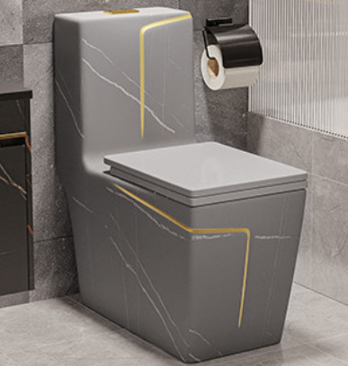 Siphon Flushing Floor Mounted Black White Toilet S Trap Hotel Design