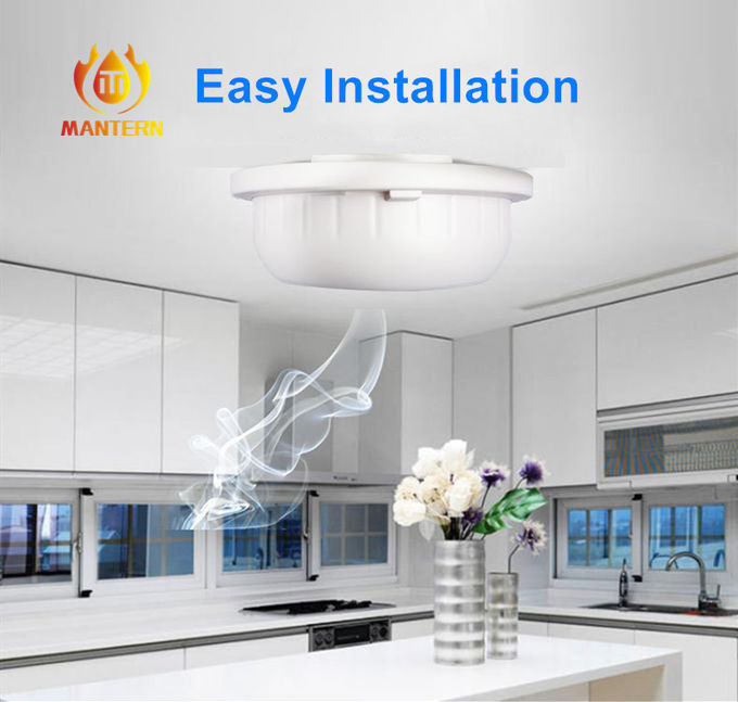 ABS Case Domestic Gas Detector Audio And Visual Natural / LPG Gas Alarm Detecting
