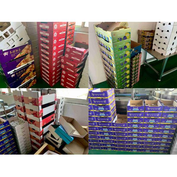 Automatic Corrugated Carton Fruit Box Adhesive Folding Machine With Collect Box