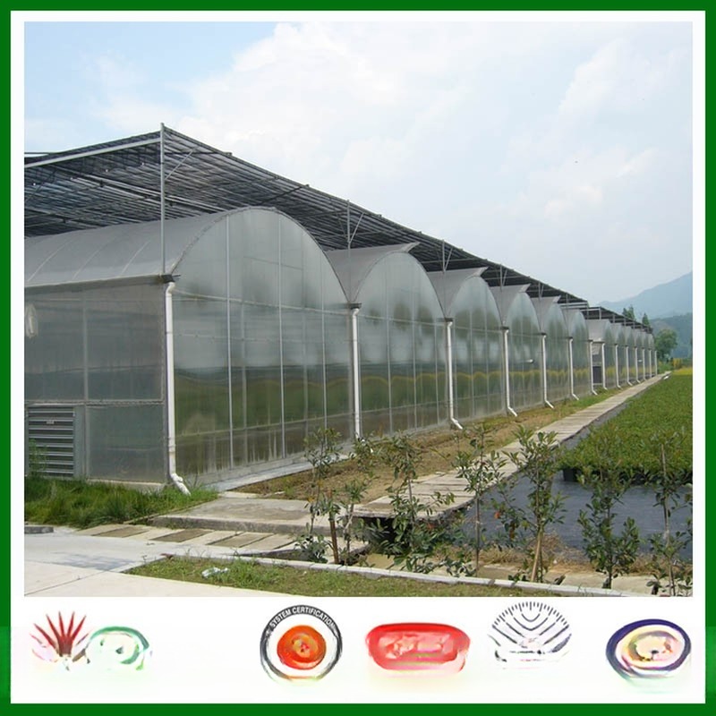 3mm-18mm Polycarbonate Hollow Sheet Durable and Versatile with anti-UV for Greenhouse Roofing and More