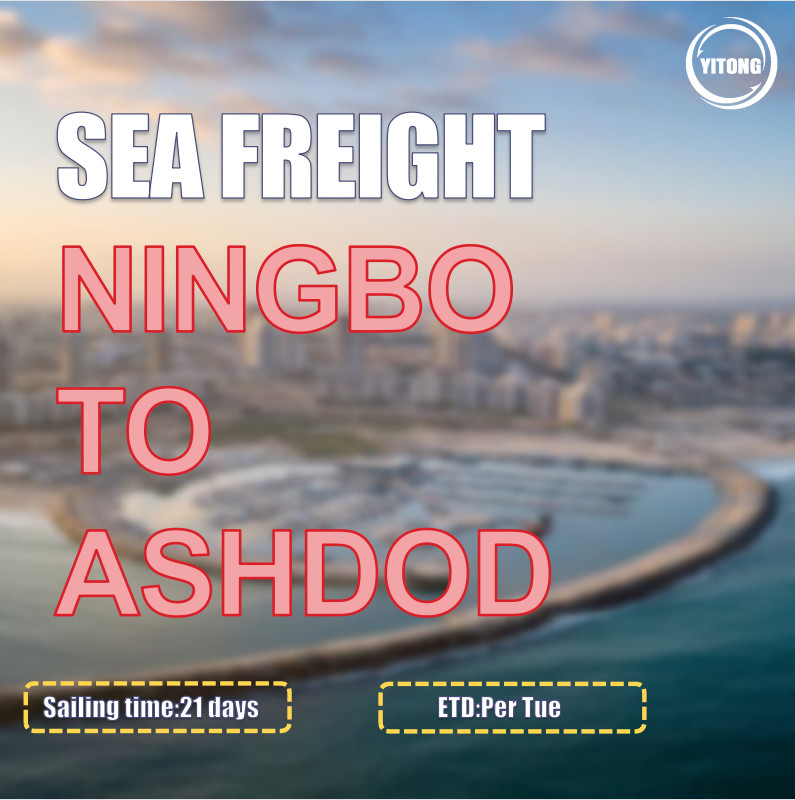 COSCO Liner Export Ocean Cargo Logistics From Ningbo To Ashdod Israel Direct Sailing
