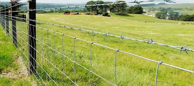 Steel 6.6ft High Fleet Farm Welded Wire Fence With Y Post For Cattle Feeding