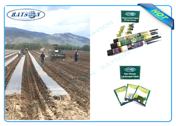 Garden Frost Protection Fleece Pp Spunbond Non Woven Cover Customized