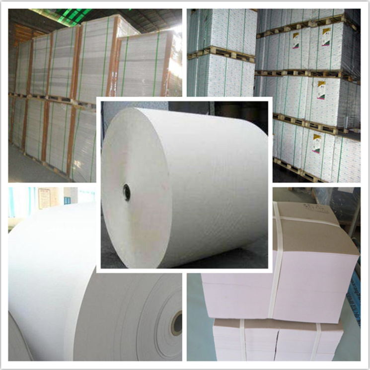 Custom Order 230G 250GSM 300GSM 350GSM BOHUI Poplar C2S Coated Art Card Paper White