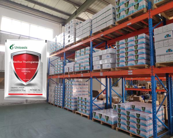 Organic Agricultural Biological Insecticides Bt For Cabbage Vegetable Bacillus
