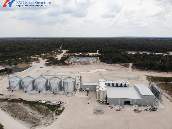 Construction Prefab Steel Structure Piggery Farm House / Steel Structure Cow