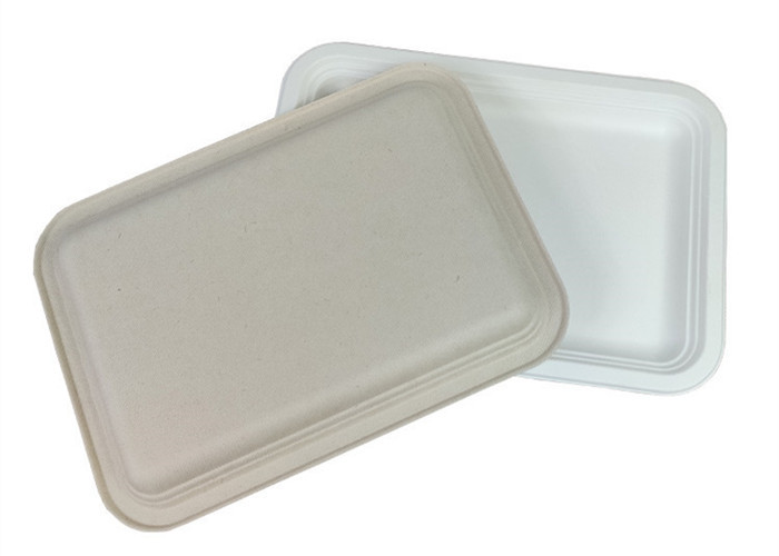Rectangle Biodegradable Food Trays