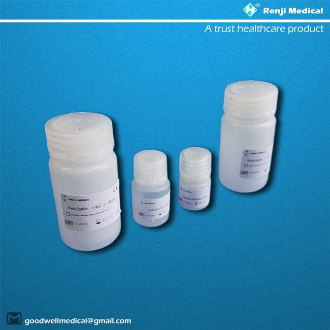 15 mins Nucleic Acid Extraction Kit , qRT-PCR Coronavirus Test Kits