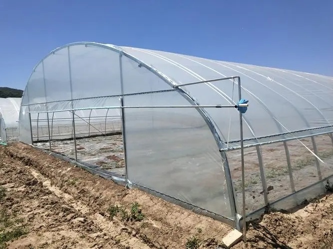 Innovative Agriculture Arches Tunnel Greenhouse