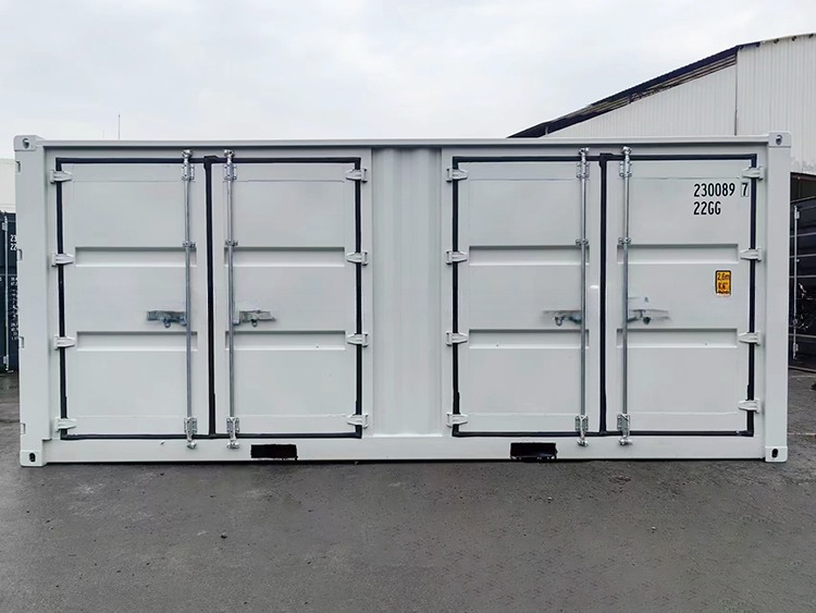 21 Ton Payload 20ft Open Side Dry Cargo Container with Multi-Sided Doors and Corrosion-Resistant Material