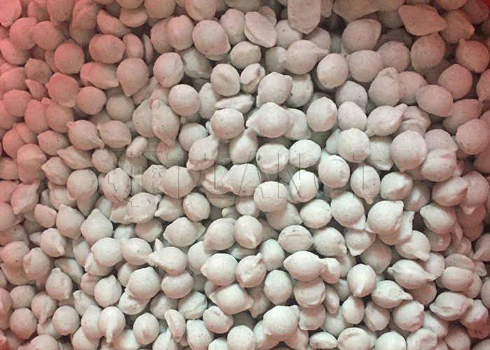 Fully Automatic NPK Compound Fertilizer Roller Press Granulation Production Line