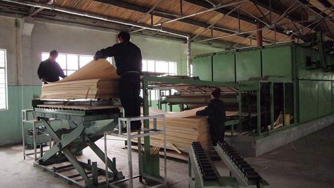 EV Reconstituted Ebony Veneer Silver Glitter Wood Grain Veneer Sheets FSC