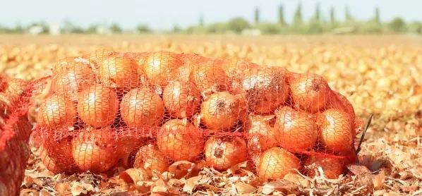 Fruit HDPE Plastic Polypropylene Onion Raschel Sacks PP Leno Mesh Bags Customized Logo
