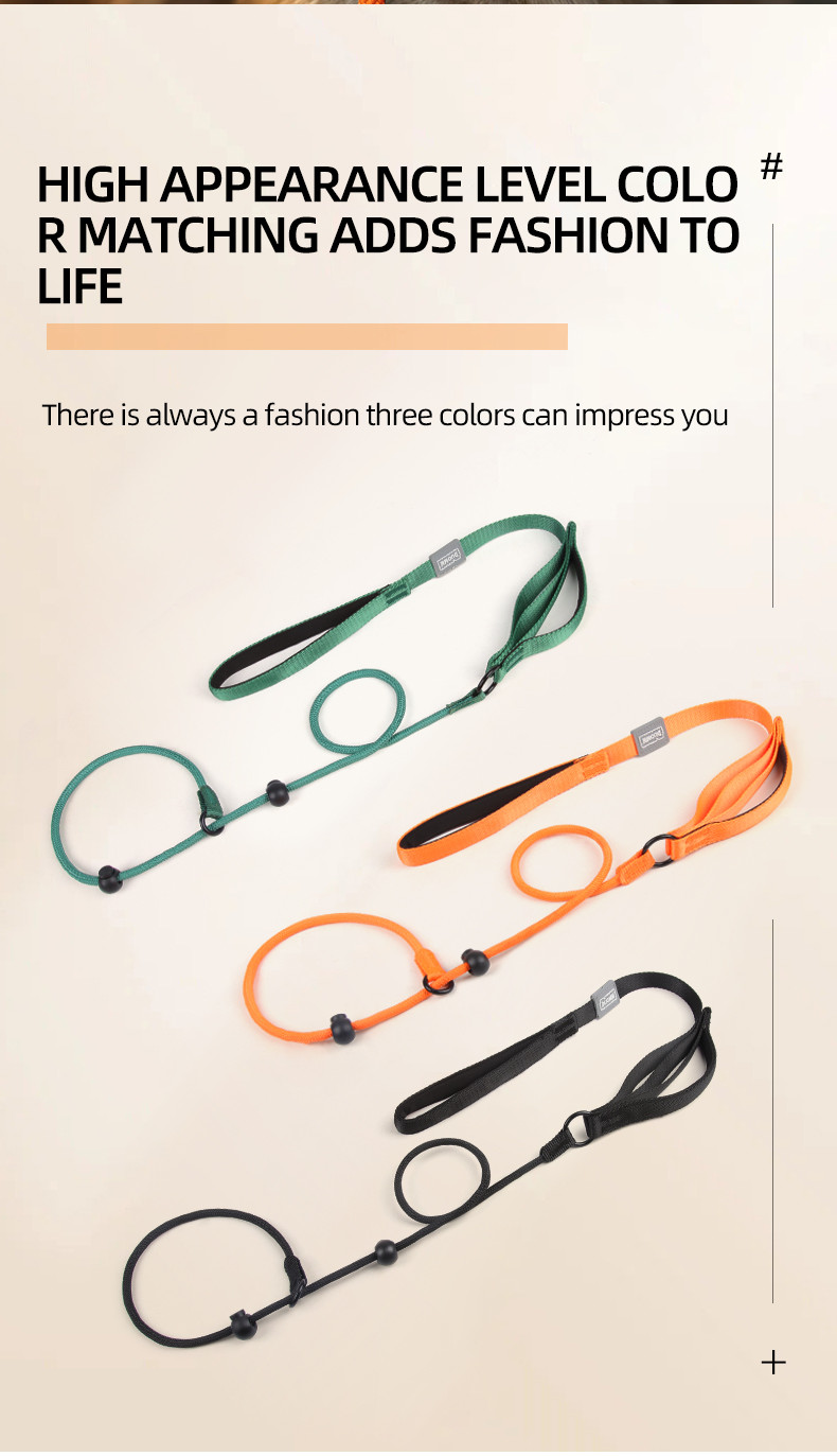 Pet Nylon P Chain Leash Dog Explosion-Proof Punch Handle Integrated Dog Walking Rope