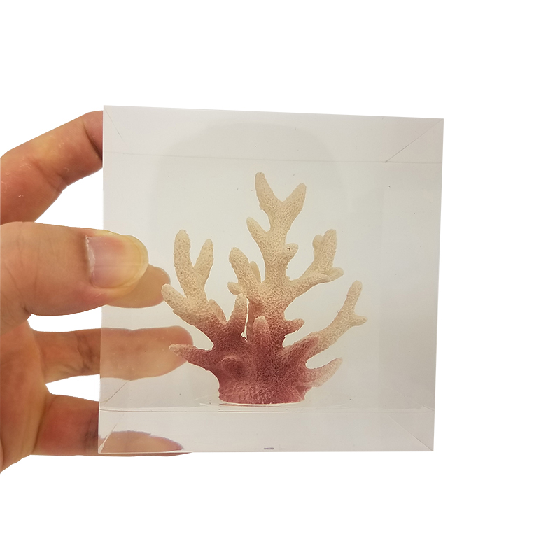cubic Acrylic resin paper weight with custom embedding inside