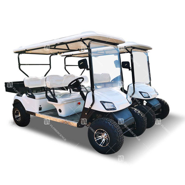 Outdoor Eight Person Beach Golf Cart Buggy Car Golf With 850kg 4kw CE Certification