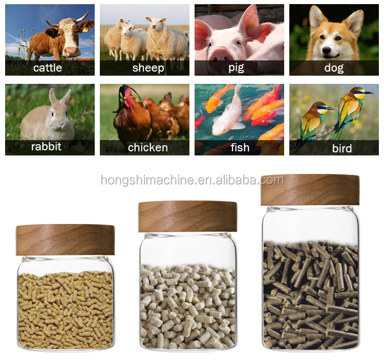 Small Complete Animal Feed Pellet Machine Production Line High Quality