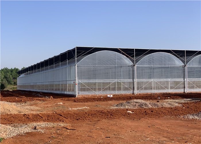 Film / NFT Cover Material Plastic Film Greenhouse Good Insulation Performance
