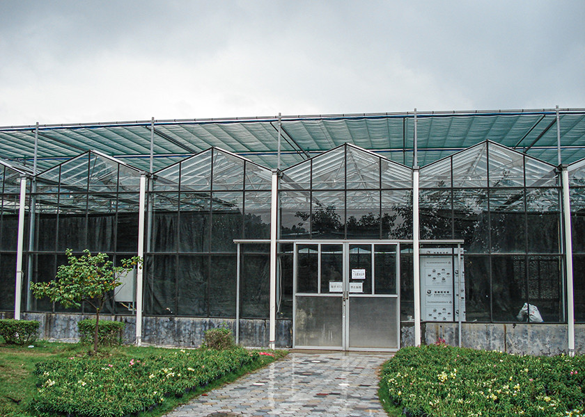 Heat & Cool Adjustable, Beautiful Good Looking VENLO Glass Greenhouses
