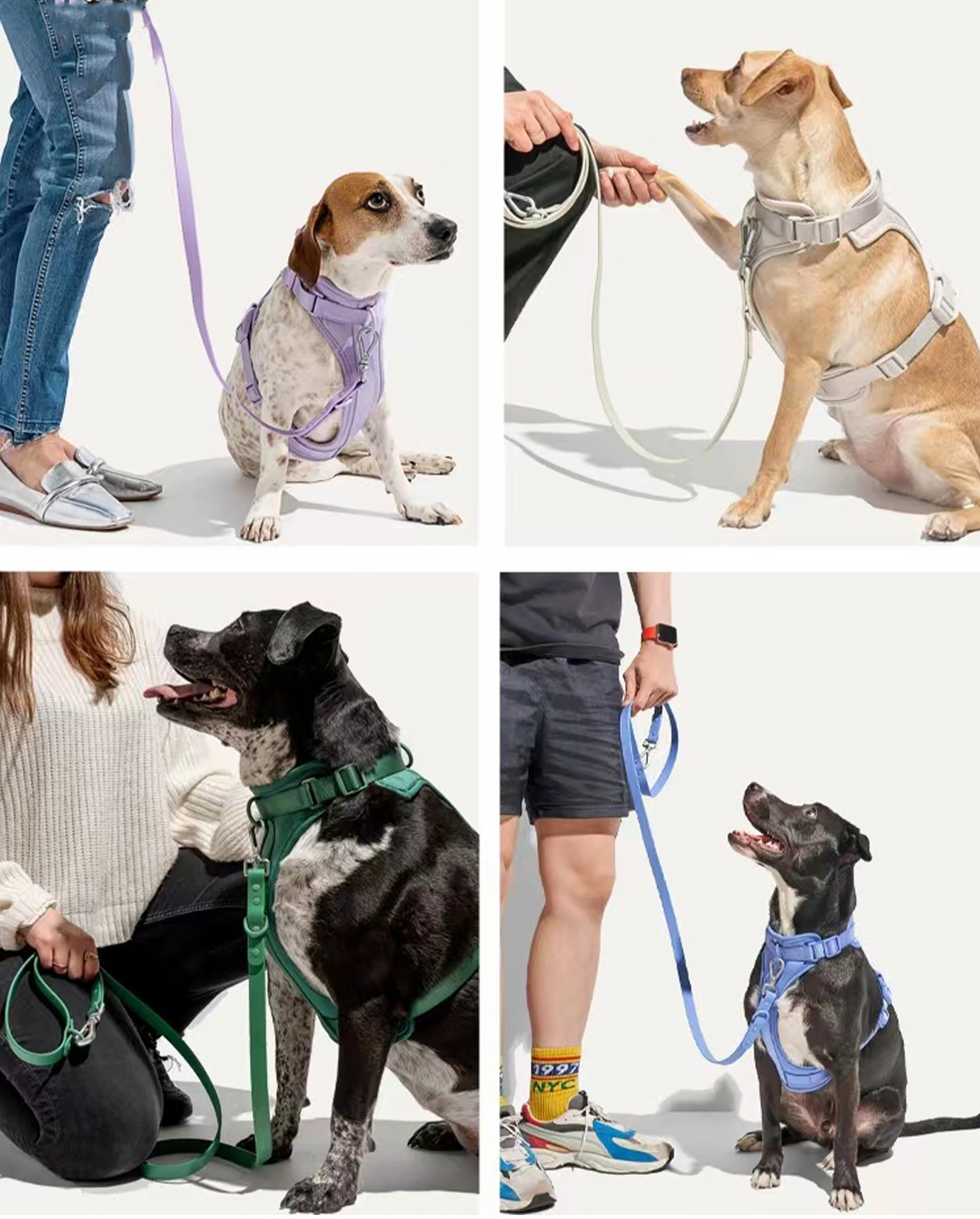 Neoprene Leash Collar Combo Adjustable Soft PVC Red Collar And Leash