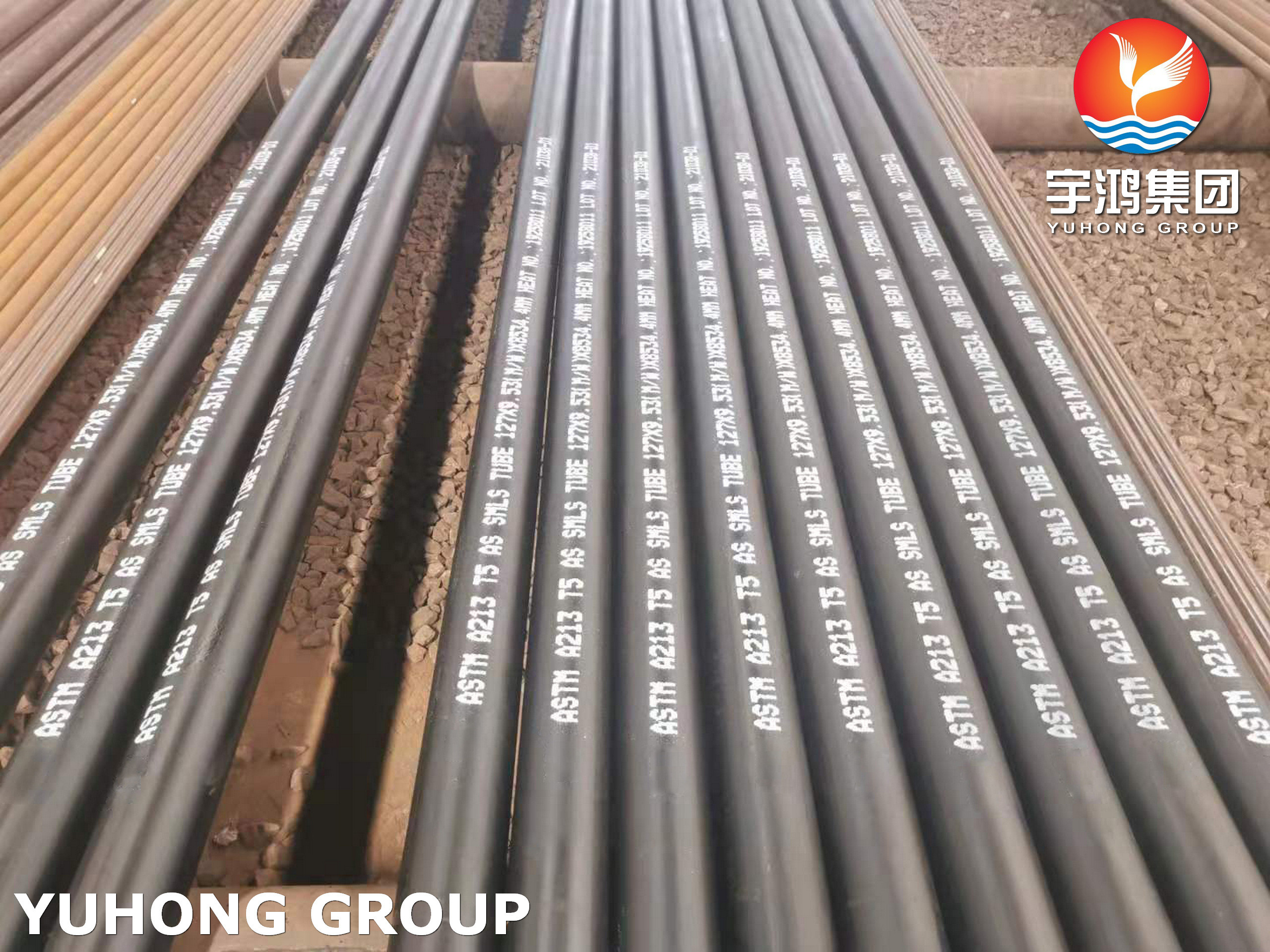 Alloy Steel Boiler Tube ASTM A213 T5 For Steam Boiler , Gas Processing Industries